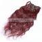 Hair salon premium hair extension human hair hot sale                        
                                                                                Supplier's Choice