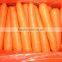 good quality new crop carrot