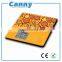 Professional nutrition scale with competitve price and high quality