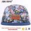 cheap custom new style 5 panel hat/caps