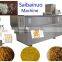 Nutritional/Artifical/Reinforced rice plant
