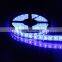 Cheap 14.4W 5050 12V CE RoHS LED Strip Light                        
                                                Quality Choice