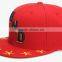 6panel 3D embroidery snapback cap
