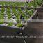 Professional Aquaponics Hydroponics and Aeroponics Systems for Agriculture Farming