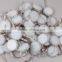 patented product DC12V SMD5050 RGB full color led pixel light -- Miracle Bean