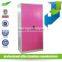 New Style Design 2 Door Fashion Steel bedroom colorful wardrobe