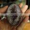 Natural Agate Geode Smile Crystal Egg Ornaments Wholesale