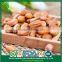 Continous Supply New Arrival Siberian Cedar Open Pine Nuts in Shell