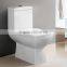 Siphonic One Piece Toilet With Top Button Single Flush