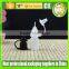5ml Wholesale e Liquid Bottle, e Cig Liquid Bottles Made in China