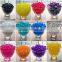 Hot Selling Round Crystal Mud Soil Water Beads Flower Gift