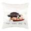 Home Decorative Sofa Seat Cushion, Furit Pillow