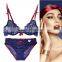 Hot Selling Sexy Transparent Bra for Women Sexy Girls with Panties and Bra