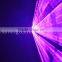 600mW Romantic Rose laser light