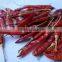 Hot Dried Chilli Pepper LOW PRICE for Sale(Viber/Whatsaap: 0084965152844)