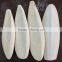 hai piao xiao cuttlebone dried cuttlefish bone