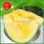 wholesale red yellow watermelon Farm Growing watermelon fake watermelon