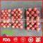 China fresh fuji apple wholesale distributors