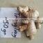 Fresh Ginger Viet Nam