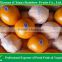 tropical fruits names of Fresh Navel Orange mandarin