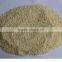 High quality ground granulated onion/onion slices