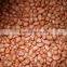 best quality peanut with hell for export