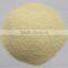 2016 high quality dehydrated garlic granules