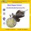 GMP Factory Supply Natural Water-soluble Black Pepper Extract