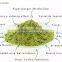 High Quality Free Sample Instant Matcha Green Tea Powder For Cake,Bread,Drinks