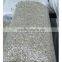 new crop confectionary sunflower seed kernels