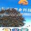 DAP fertilizer 18-46-0 brown granular 51-64%