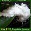 food grade magnesium chloride 7791-18-6