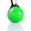 dog collar light, dog safety light, portable LED light