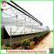 Large Muti-span Hydroponical Polycarbonate Sheet Greenhouses From China Manufacturer