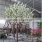 SJ10 artificial cherry blossom tree/silk cherry blossom flower tree for sale