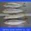 Frozen Sardine