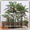 outdoor fiberglass artificial tree decorative artificial palm tree wholesale