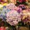artificial hydrangea silk flowers