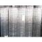 galvanized welded wire mesh