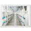 automatic flour packing machine,maize grits machinery
