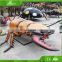 KAWAH Life size realistic robotic insect for sale
