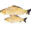 Funny plush pet toy simulation fish for cat playing