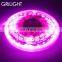Full color dc24v smt 5050 rgb led rope at 7.2w per meter