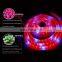 2018 Newest Vertical Custom Smd Hydroponic Systems Greenhouse Full Spectrum Strip Led Grow Light Rope For Plant