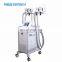 Freeze contour cryolipolise fat freezing fat cell body melting machine