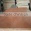 Sapele/ Okoume/ Bintagor plywood sheet