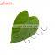 10pcs/set 2# 4# 6# 8# High Quality Machine Carbon Steel Carp Offset Hooks for Fishing