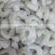 High Quality Frozen White Vannamei