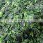 Sinocharm Frozen Vegetables  BRC A Approved Organic IQF Leaf Ball Block Frozen Spinach