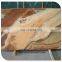 honey onyx marble living room floor tiles